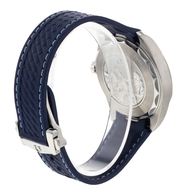 Omega Aqua Terra 150m Gents 220.12.43.22.03.002 Image 3